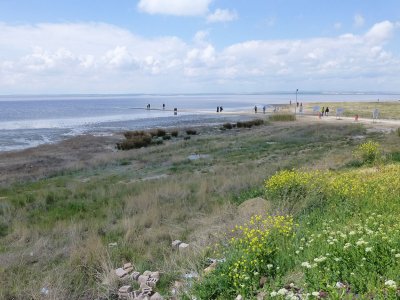 Tuzų tvenkinys