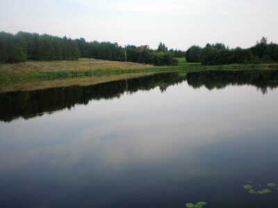 Labūnavos gyv. tvenkinys