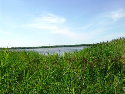 Draudenių ežeras