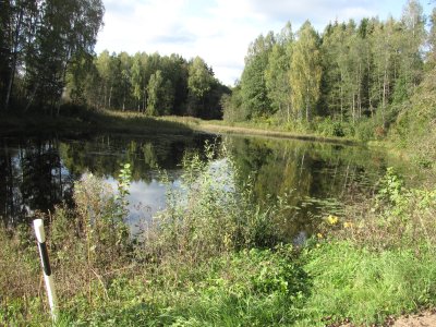 Kurkliečių II tvenkinys