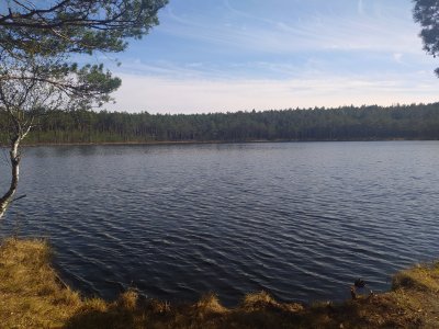 Kukuižė