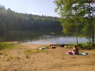 Lapušiškė