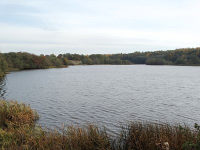 Notėnų I tvenkinys