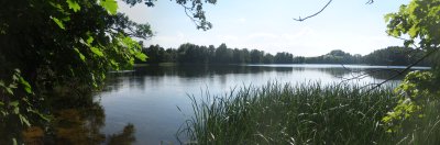 Skaistinės (Trumponių) ežeras