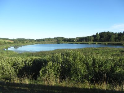 Panemunėlio ežeras
