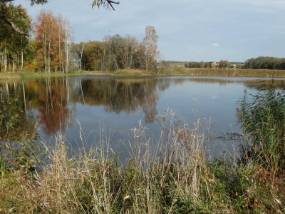 Truikinų tvenkinys