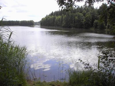Vėlys