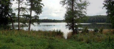 Zalvė