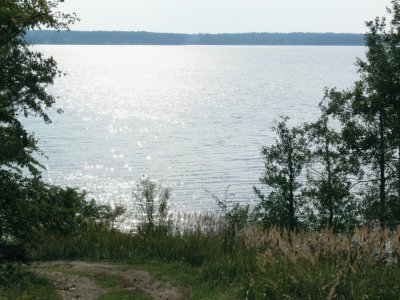 Obelija