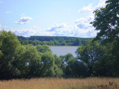 Alaušas