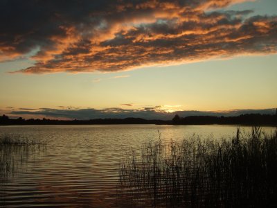 Asveja (Dubingių ežeras)