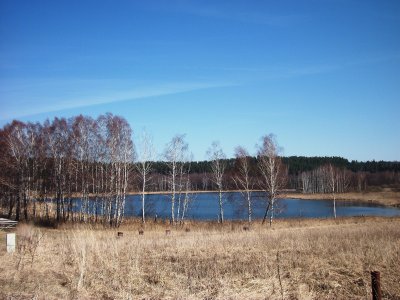 Beržuolis