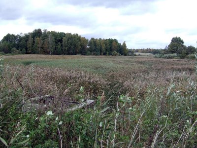 Blinstrubiškių II tvenkinys