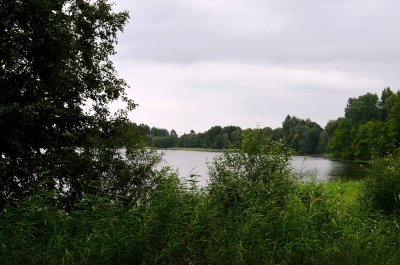 Čiaunas