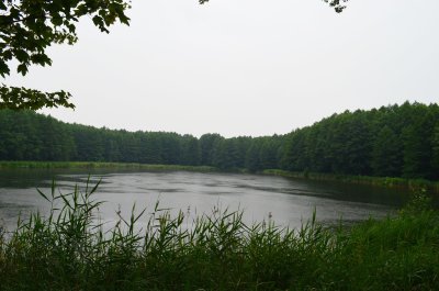 Šereitlaukio ežeras