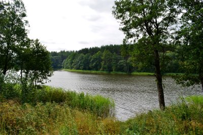Ežerė