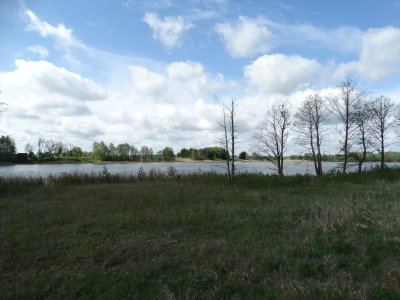 Karališkių ežeras