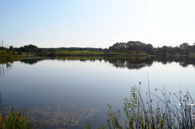 Gražėniškių tvenkinys