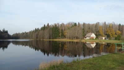 Gulbinų tvenkinys
