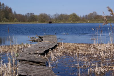 Smalių tvenkinys