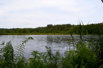 Juodiškis
