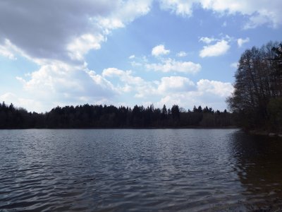 Lojus
