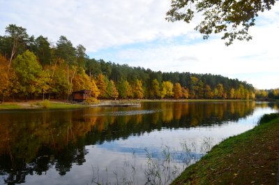 Mažoji Dailidė