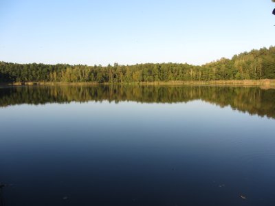 Mergelės Akelės