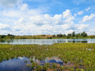 Nabaraučiznos (Nuobariškių)