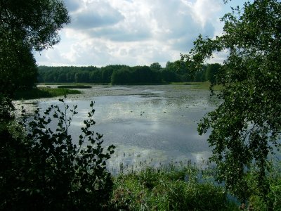 Oplankio (Malūnežeris)