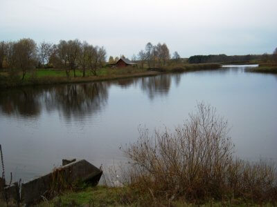 Pelyšų tvenkinys