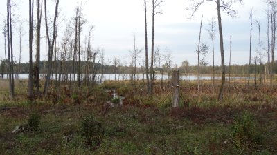 Randamonių ežeras