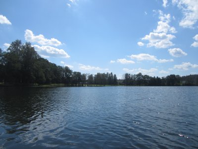 Sarių ežeras