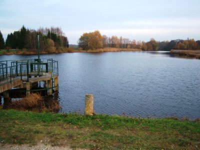Smilgių tvenkinys