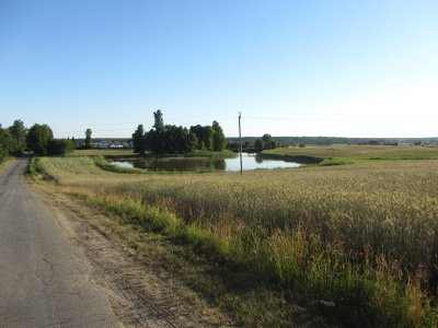 Lelionių II tvenkinys