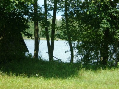 Stelmužės (Padvarinis) ežeras