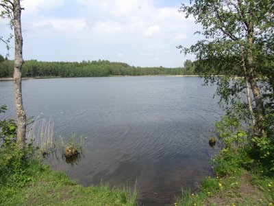 Aknystėlis