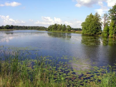 Žibikų tvenkinys